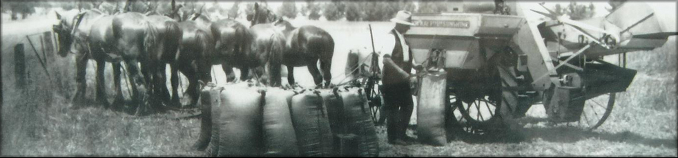 Charles Mullen purchased land in the Wasleys area in the 1860's after moving here from Ireland.